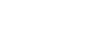 tiger logo